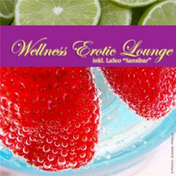 Wellness Erotic Lounge (2010)