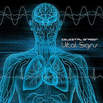 Vital Signs (Compiled By Androcell) (2010)