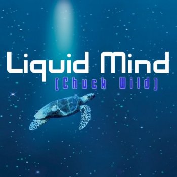 Liquid Mind  (1994-2012)