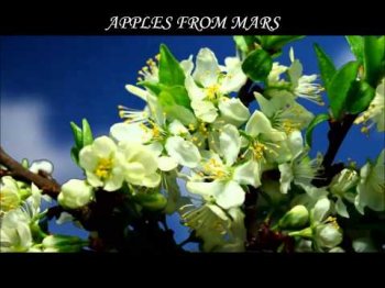  "The Last Spring Of Mankind"  Apples From Mars