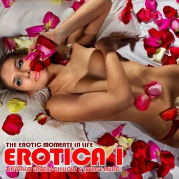 Erotica, Vol. 1 - The Erotic Moments of Life (The Finest Erotic Chill Out and Lounge Music)