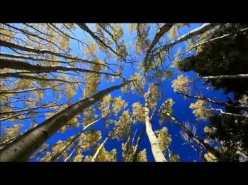 Jon Richards - Song of the Seasons video