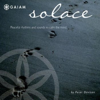 Peter Davison  Solace (2005)