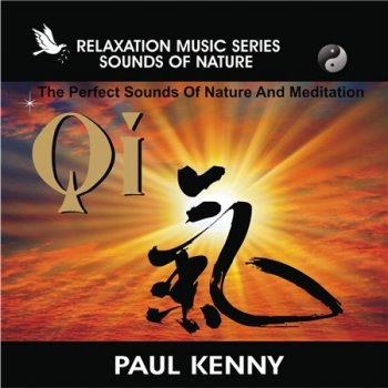 Paul Kenny - Qi (2012)
