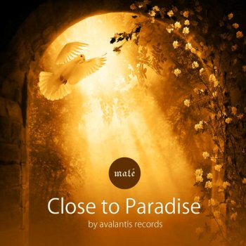Maté - Close To Paradise (2014)