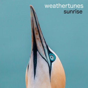 Weathertunes - Sunrise (2020)