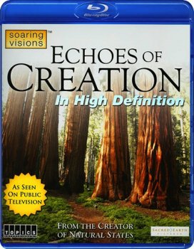   / Echoes of Creation (2010) BDRip