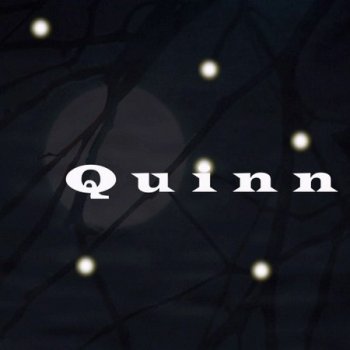 Quinn (1994-2008)