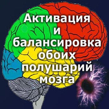 Brain Activation -      