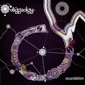 Diggadgy - Soundation (2010)