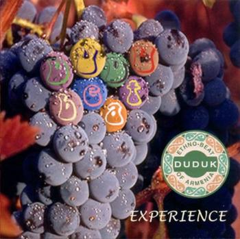 Dudubeat - Experience (2002)