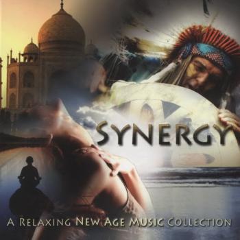 Synergy (2009)