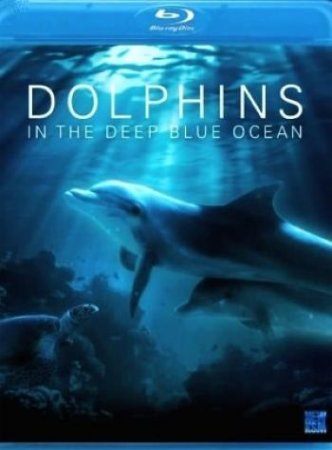 Дельфины в глубоком синем океане / Dolphins in the deep blue ocean (2009) BDRip