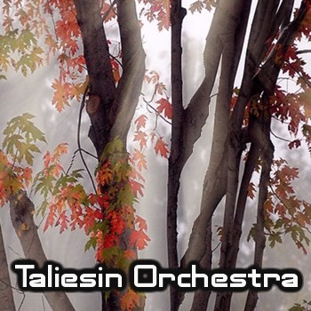 Taliesin Orchestra (1997-2006)