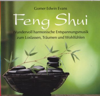 Gomer Edwin Evans - Feng Shui (2011)