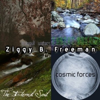 Ziggy B. Freeman (2009-2012)