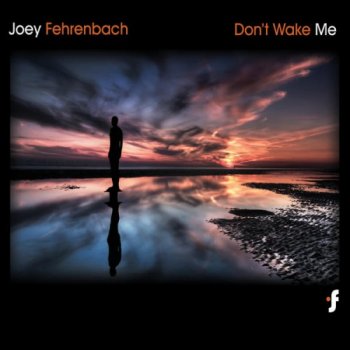 Joey Fehrenbach - Don't Wake Me (2010)