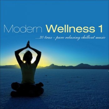 Modern Wellness (2012)