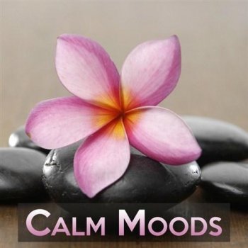Calm Moods (2013)