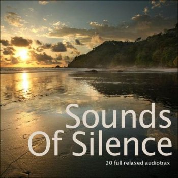 Sounds of Silence  (2013)