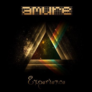 Amure - Experience (2013)