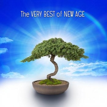 The Very Best of New Age (2013)
