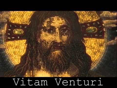 Коллекция онлайн видео от Vitam Venturi