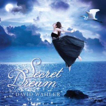 David Wahler - Secret Dream (2012)