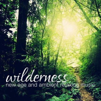 Wilderness New Age and Ambient Relaxing Music (2013)