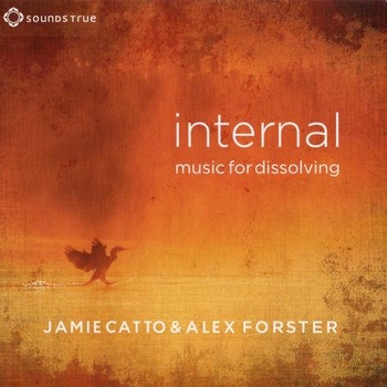 Jamie Catto & Alex Forster - Internal - Music For Dissolving (2013)
