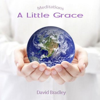 David Bradley - A Little Grace (2013)