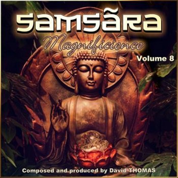 David Thomas - Samsara 'Magnificience', Vol. 8 (2014)