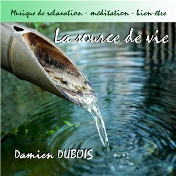 Damien Dubois - La source de vie (2013)