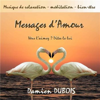 Damien Dubois - Messages d'amour (2013)