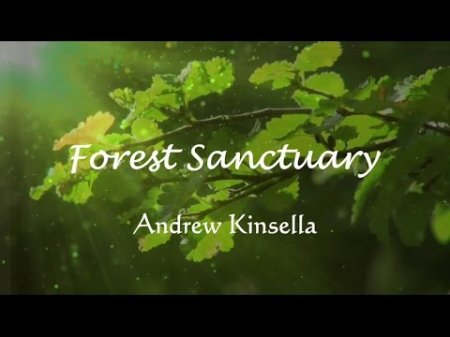 Andrew Kinsella - Forest Sanctuary