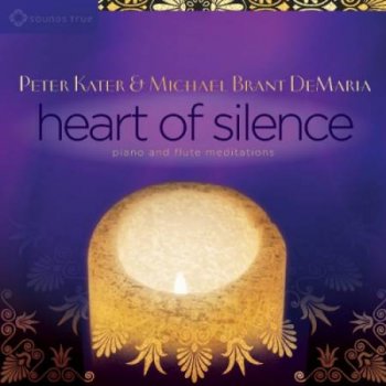 Peter Kater & Michael Brant DeMaria - Heart of Silence (2015)