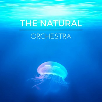 Nature Sounds & Yoga Tribe - The Natural Orchestra (2016)