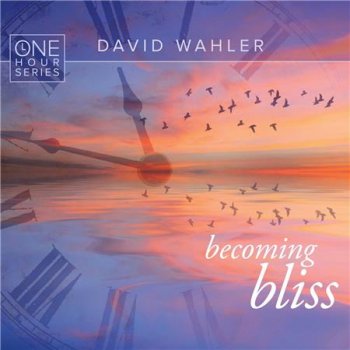 David Wahler - Becoming Bliss: One Hour Series (2016)