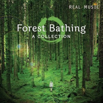 Forest Bathing (2016)
