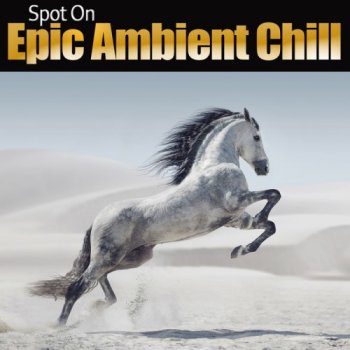 Spot On: Epic Ambient Chill (2017)