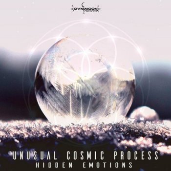 Unusual Cosmic Process - Hidden Emotions (2018)