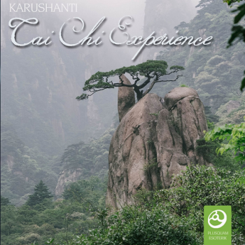 Karushanti - Tai Chi Experience (2018)