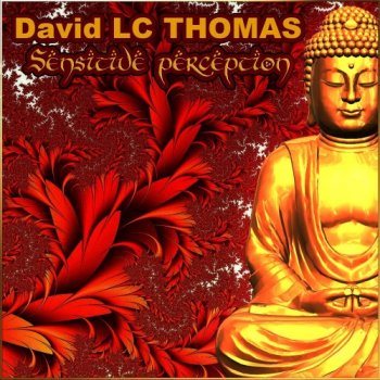 David LC THOMAS - Sensitive Perception (2019)