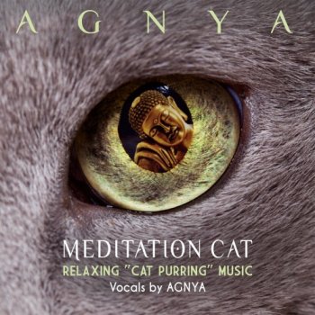 Agnya - Meditation Cat (Relaxing Cat Purring Music) (2019)