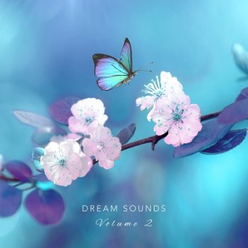 Dream Sounds - Dream Sounds, Vol. 2 (2019)