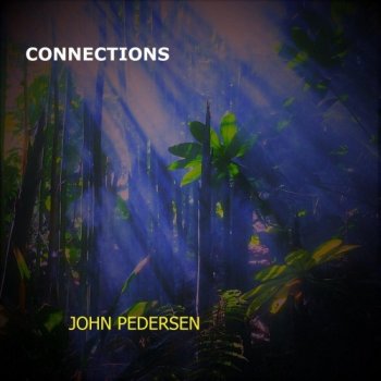 John Pedersen - Connections (2020)