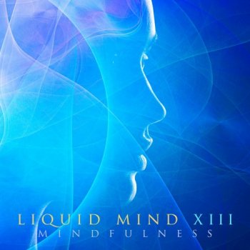 Liquid Mind - Liquid Mind XIII: Mindfulness (2020)
