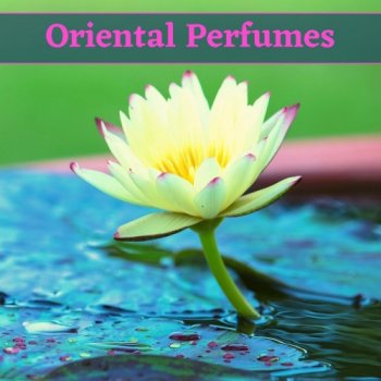 Chinese Zodiac - Oriental Perfumes (2020)