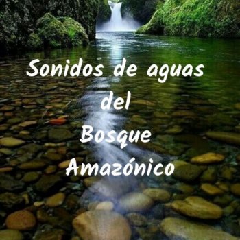 Aguas Relajantes - Sonidos de Aguas del Bosque Amaz&#243;nico (2020)