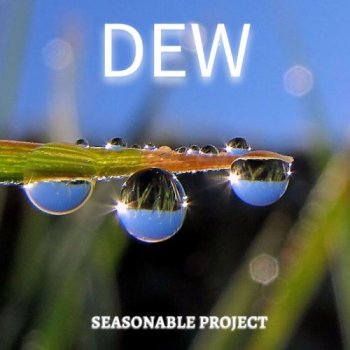 Seasonable Project - Dew (2020)